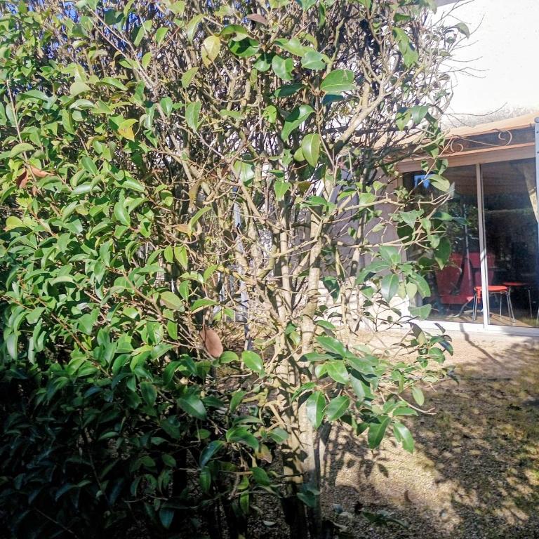 Pépinière Chêne Vert Gîtes d'exception Piscine Parking - Haus mit 2 Schlafzimmern - 52