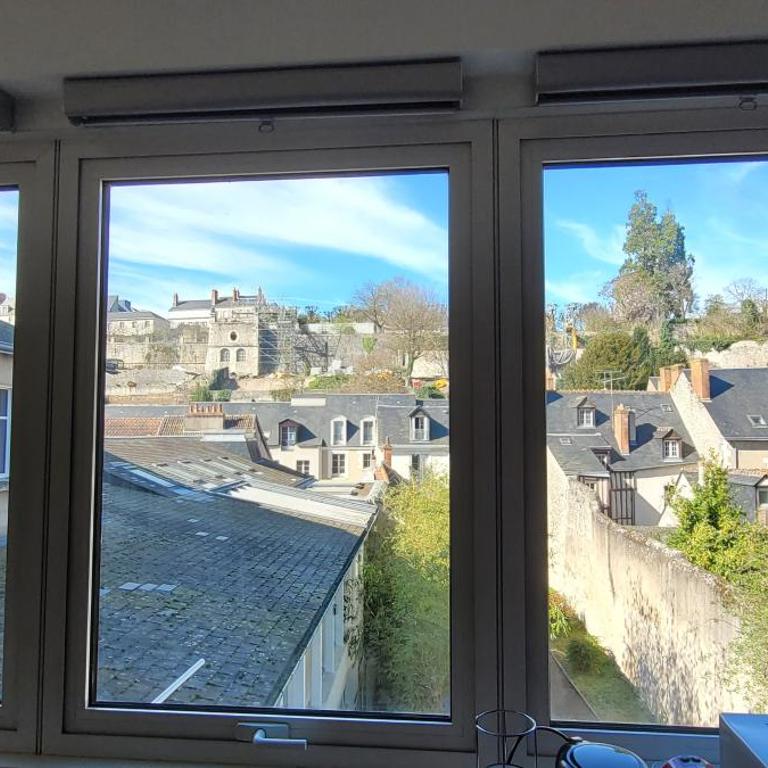 Charmant appartement vue Loire et Jardins - Apartamento de 1 dormitorio - 13