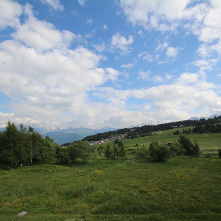 Les Saisies : Appartement 8 pers, balcon sud, animaux admis - Appartamento con 1 Camera da Letto - 13