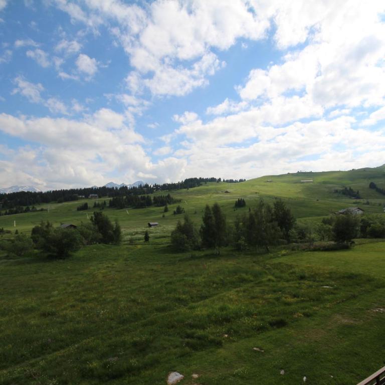 Les Saisies : Appartement 8 pers, balcon sud, animaux admis - Appartamento con 1 Camera da Letto - 14