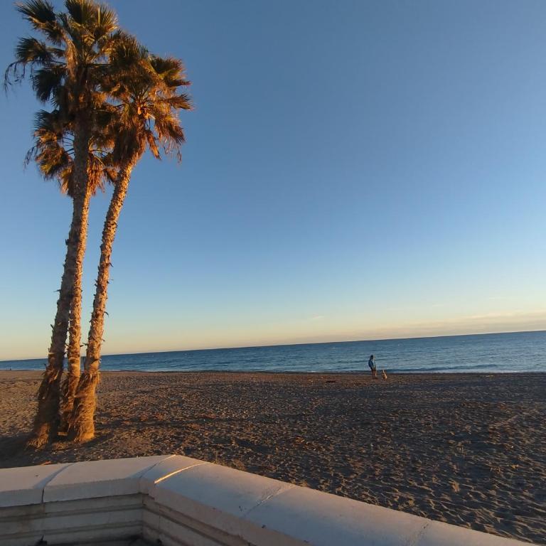 Nueva Almería Beach - Apartamento de 1 dormitorio - 8