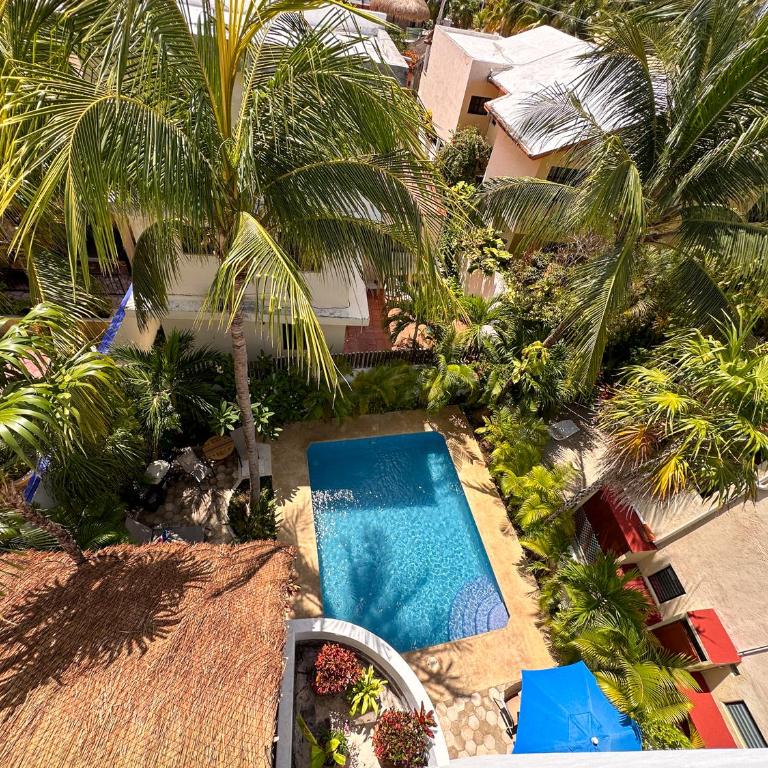 Casa Sonoma - Charming Condos Minutes from Beach & Reef - Apartment with Terrace - 2