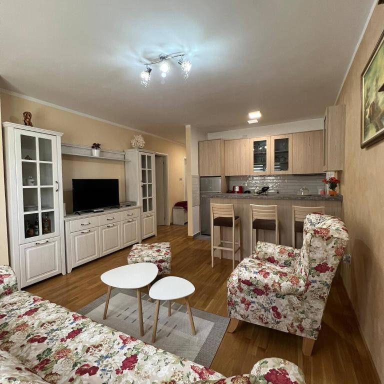 Apartment in Novi Sad with Balcony and Free Street Parking - Apartman sa 1 Spavaćom Sobom - 1