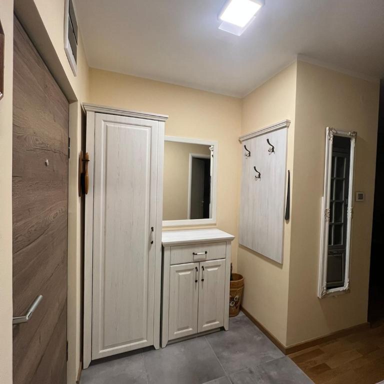 Apartment in Novi Sad with Balcony and Free Street Parking - Apartman sa 1 Spavaćom Sobom - 3