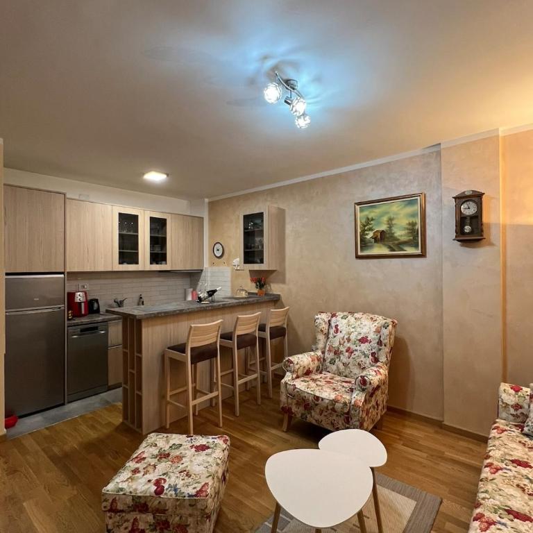 Apartment in Novi Sad with Balcony and Free Street Parking - Apartman sa 1 Spavaćom Sobom - 5