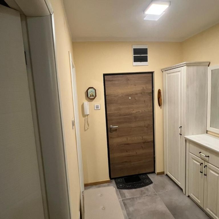 Apartment in Novi Sad with Balcony and Free Street Parking - Apartman sa 1 Spavaćom Sobom - 19