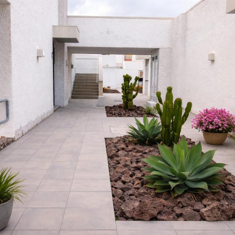 Cozy Garden Apartment Las Galletas - Apartamento de 1 dormitorio con vistas al jardín - 10