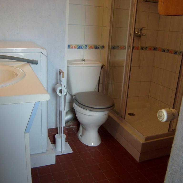 Charmant appartement avec balcon près des pistes, 4 pers., Crest-Voland, proche commerces - Studio - 10