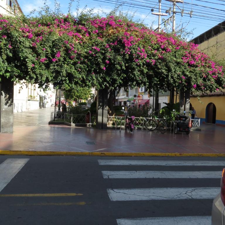 departamento centrico en tacna - Apartamento de 2 dormitorios - 11