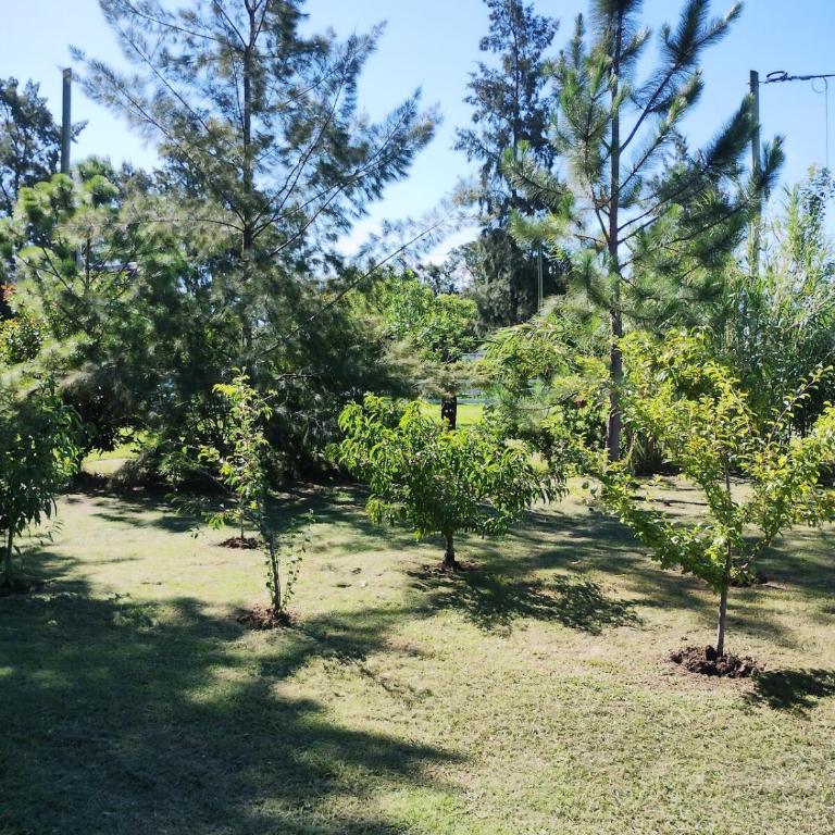 Casa quinta con pileta y parque en San Pedro - Two-Bedroom House - 47