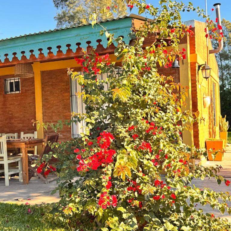 Casa quinta con pileta y parque en San Pedro - Two-Bedroom House - 42