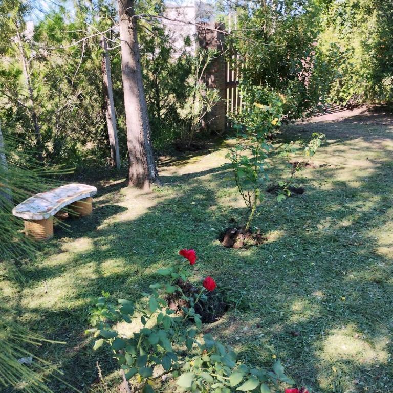 Casa quinta con pileta y parque en San Pedro - Two-Bedroom House - 48