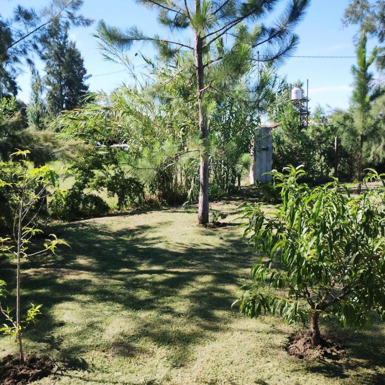 Casa quinta con pileta y parque en San Pedro - Two-Bedroom House - 51