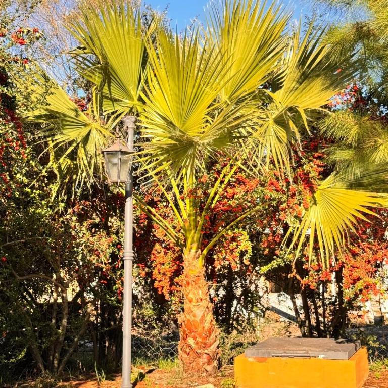 Casa quinta con pileta y parque en San Pedro - Two-Bedroom House - 55