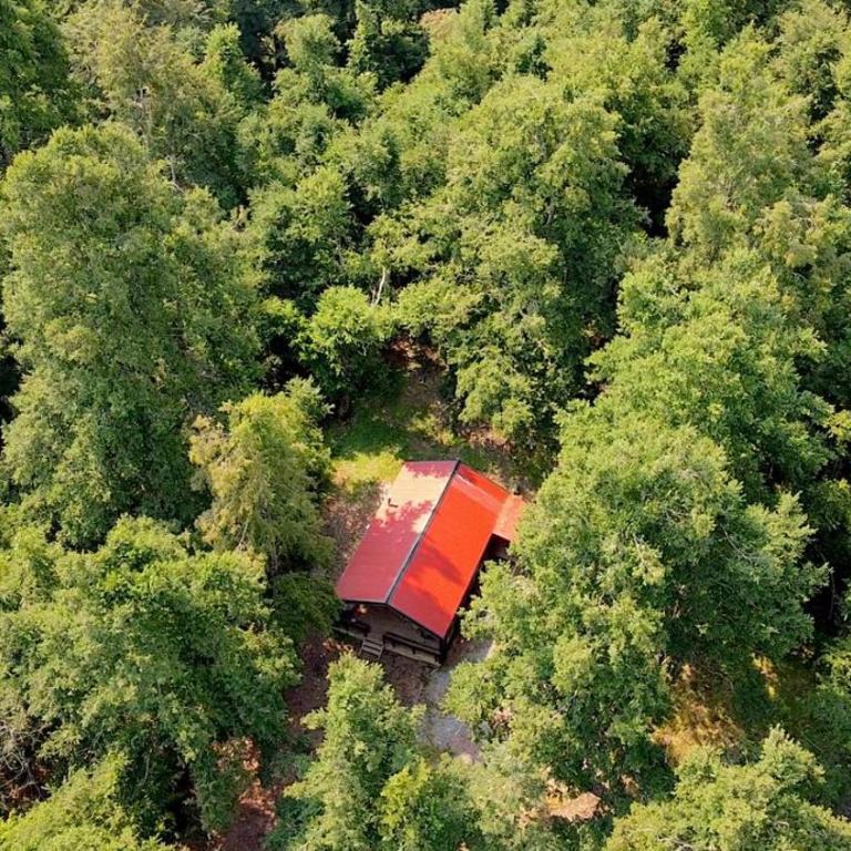 Cafeteria y cabañas Eluney - Koigue - One-Bedroom House - 9