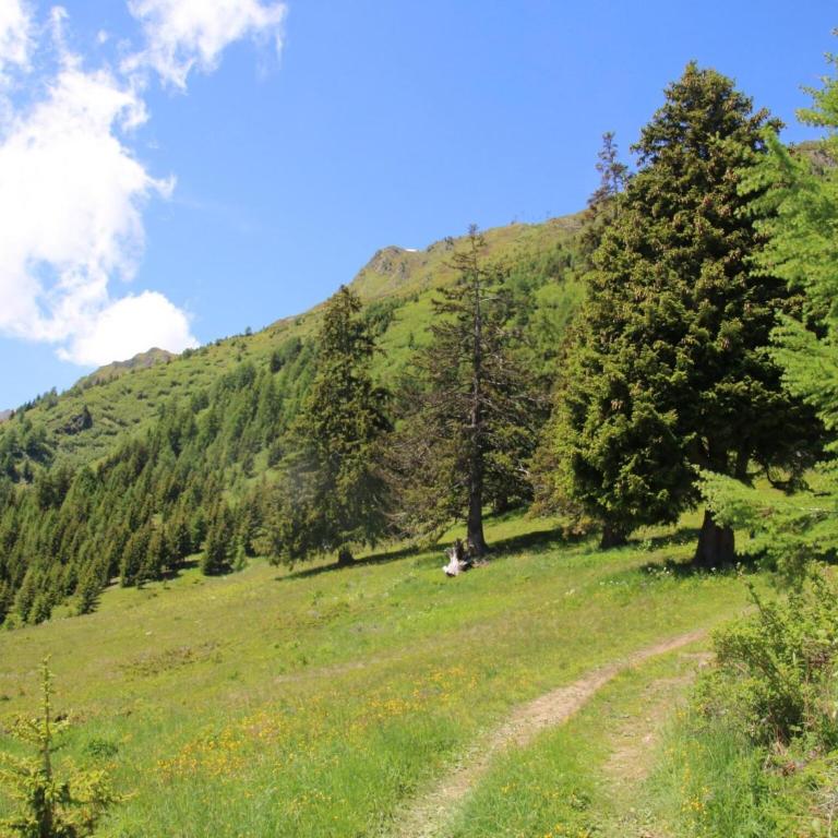 Chalet in Thyon-Les Collons - Chalet Supérieur - 45