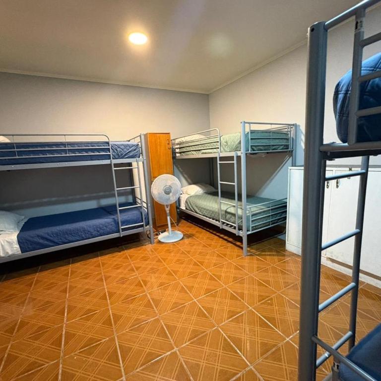 Raymi House Hostel - Bed in 6-Bed Mixed Dormitory Room - 2