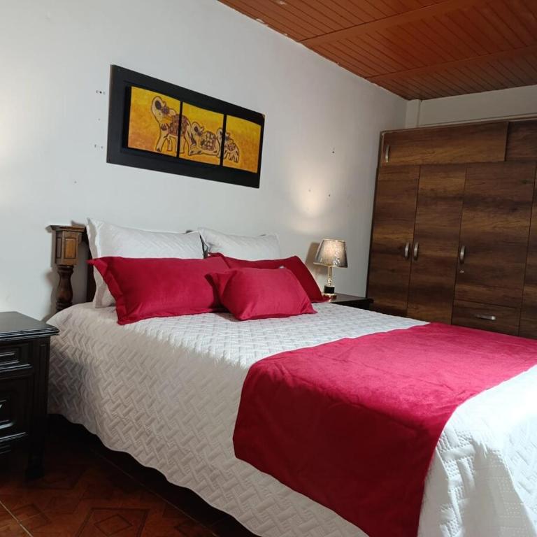 Apartamento Amoblado excelente ubicación - Apartamento de 1 dormitorio - 14