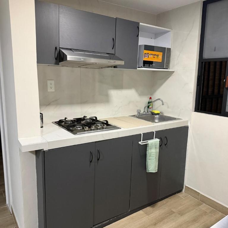 Apartment in DEL VALLE NORTE - Two-Bedroom Apartment - 14