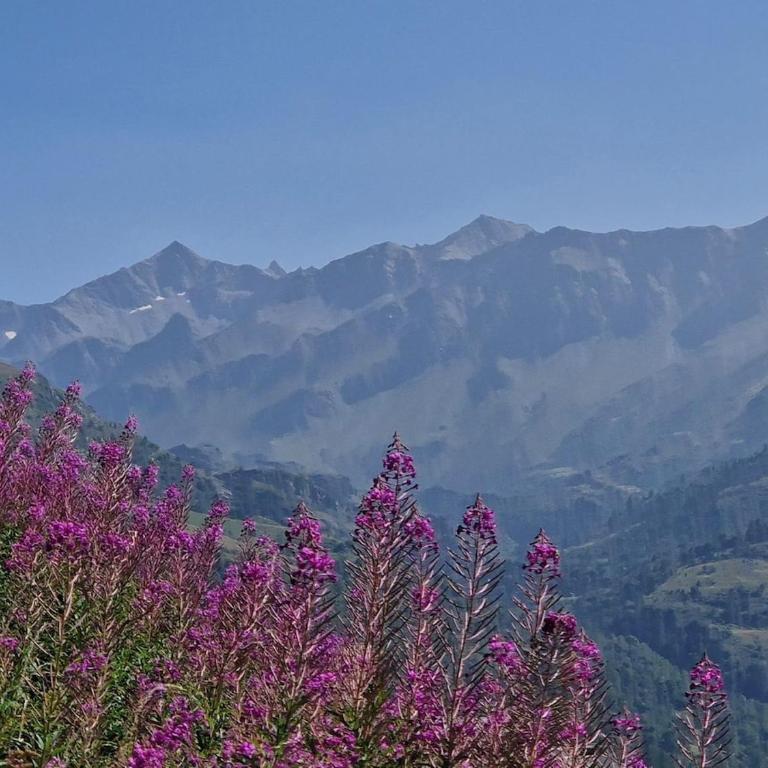 Les Chryolles - Les chardons bleus - Chalet 2 Chambres - 28