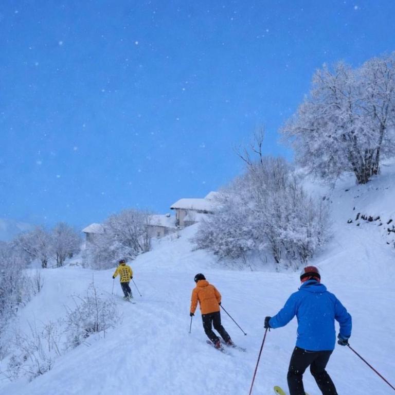 Les Chryolles - Les chardons bleus - Chalet 2 Chambres - 20