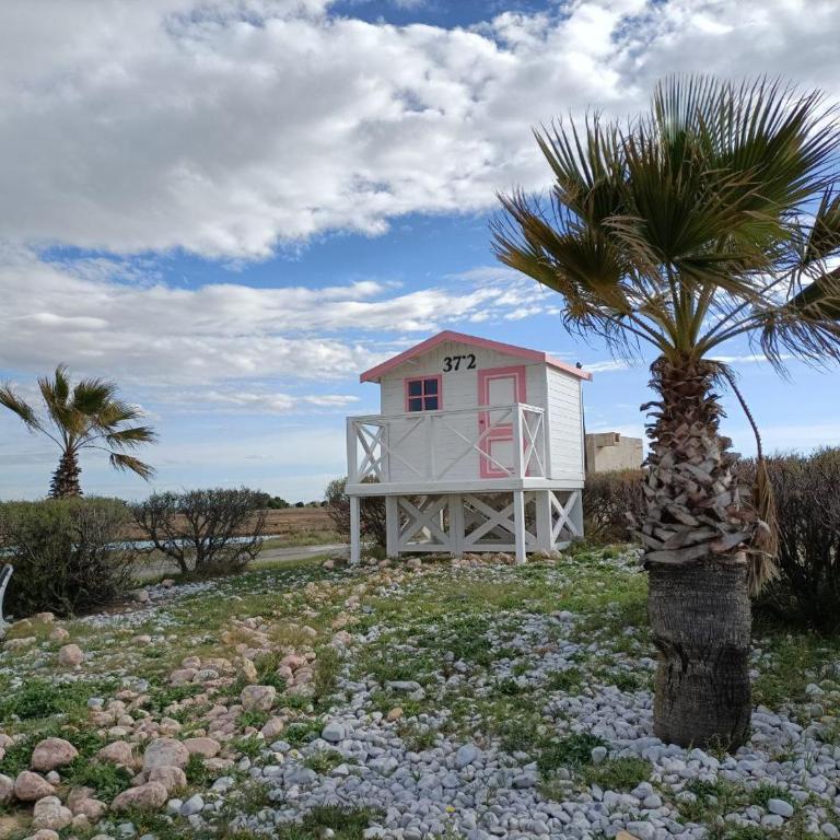 La Petite Voile - Appartement 1 Chambre - 29