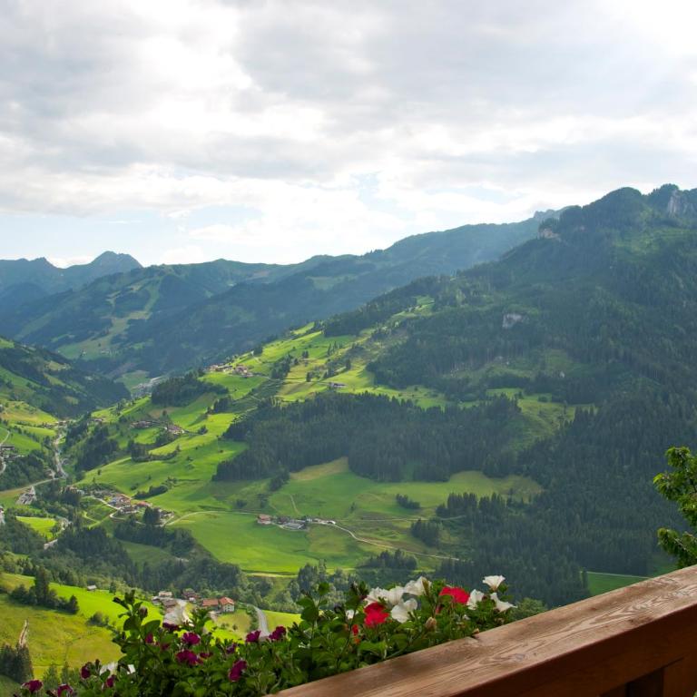 Grasreithof - Apartment mit Balkon - 4