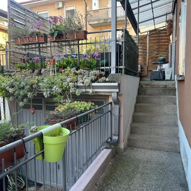 Monolocale Pink Borgo Roma GB Rossi friendly Verona - Monolocale Superior - 3