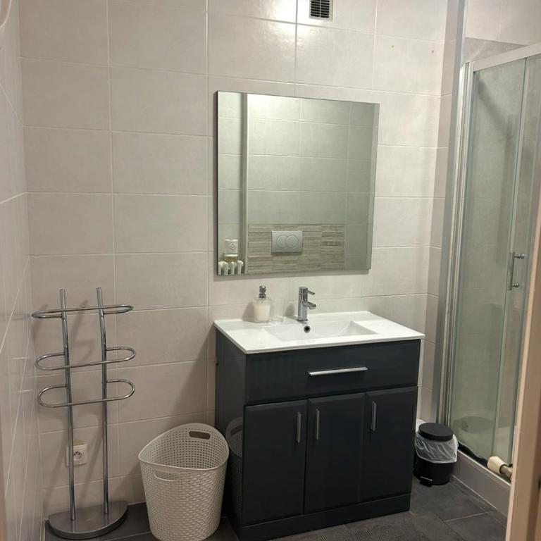 Une vue imprenable sur Metz ! - Appartement 1 Chambre - 13
