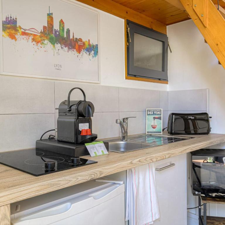Cosy duplex proche Grange Blanche - Apartment - 3