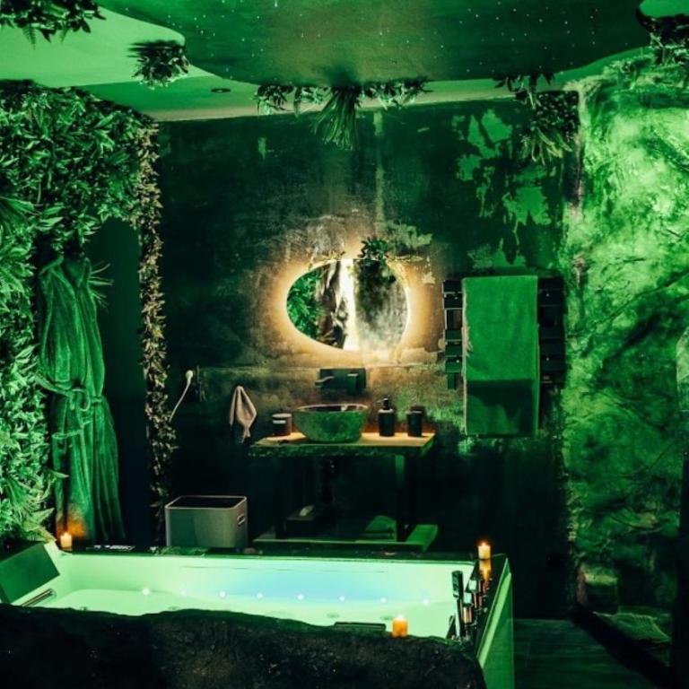 Love room Piccola casa côté Forêt - Apartamento de 1 dormitorio - 15
