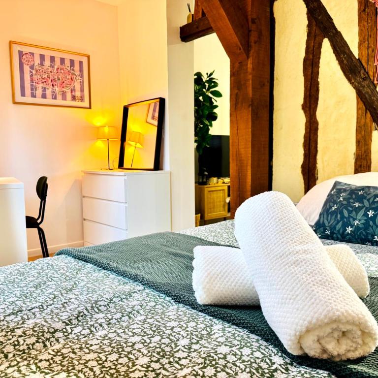 Studio Cathédrale - Centre - WIFI - Machine - Apartment mit 1 Schlafzimmer - 17