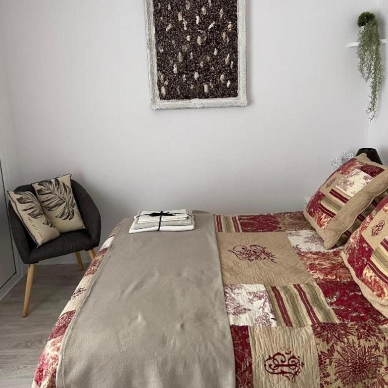 Charmant logement entre mer et montagne idéal pour cure thermale - Appartement 1 Chambre - 5