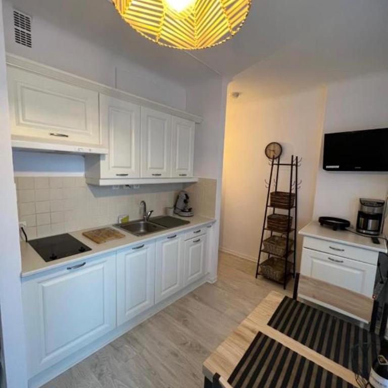 Charmant logement entre mer et montagne idéal pour cure thermale - Appartement 1 Chambre - 6