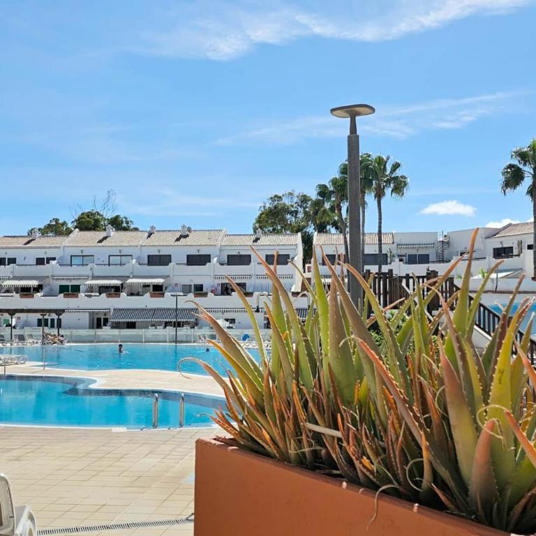 Espectacular piso en Parque Don José con terraza - Apartamento con terraza - 34
