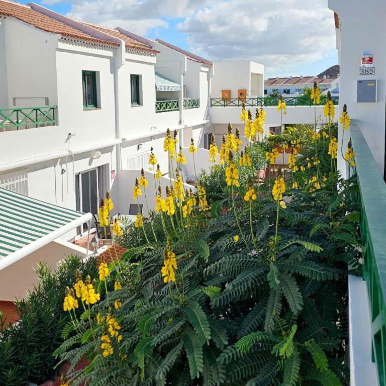 Espectacular piso en Parque Don José con terraza - Apartamento con terraza - 37