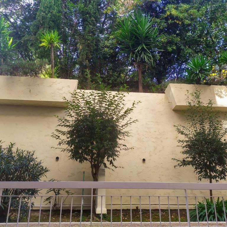 Secret garden, ideal for 2,large terrace - Studio avec Terrasse - 18