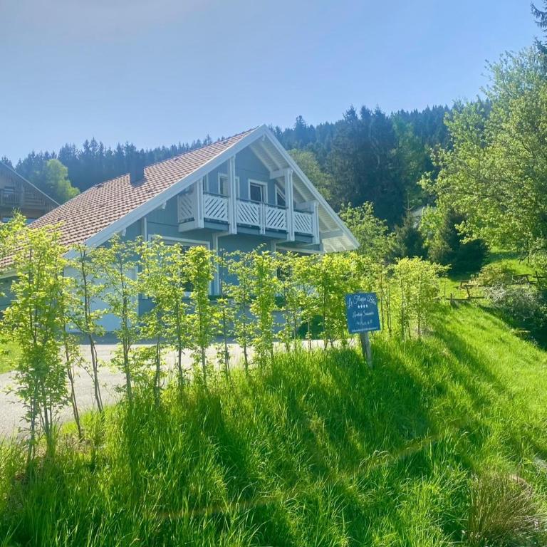 Chalet Le Flocon Bleu - Mauselaine avec vue sur le Lac de Gérardmer - Chalet 3 Chambres - 38