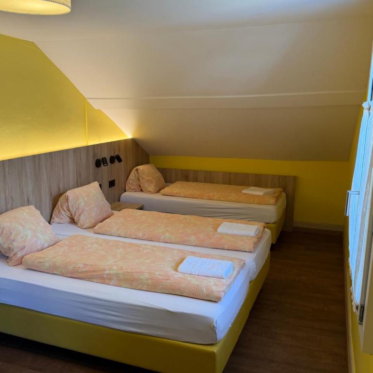 Budget Waldhotel - shared bathrooms - Dreibettzimmer mit Gemeinschaftsbad - 3