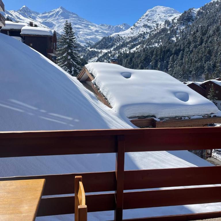 Studio front de neige à Méribel-Mottaret - One-Bedroom Apartment - 2