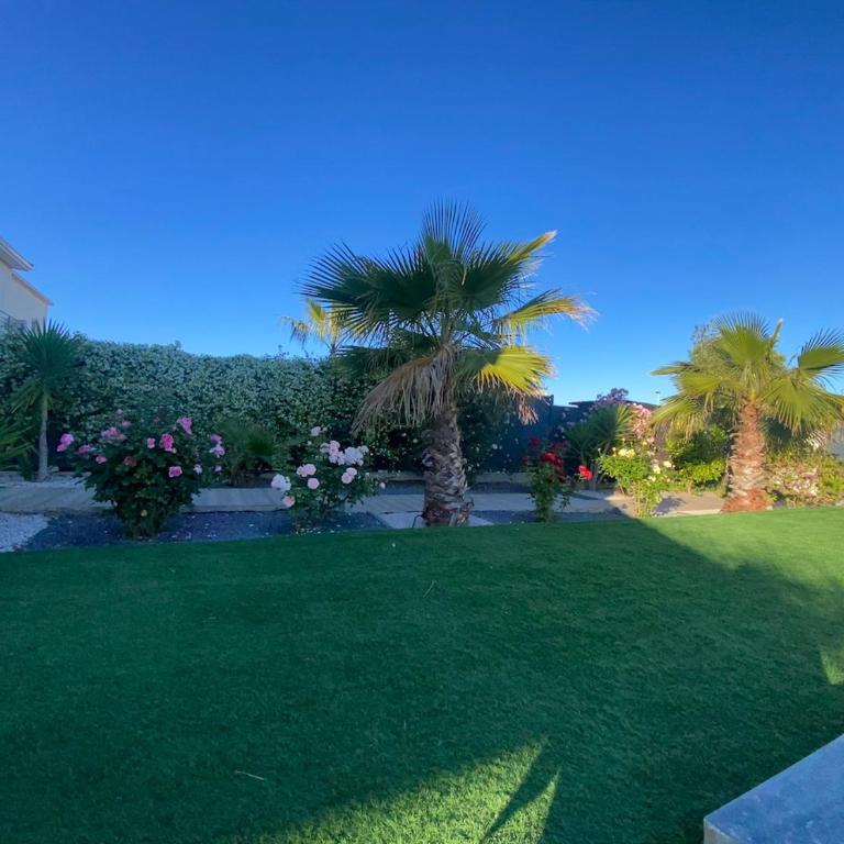 Villa moderne avec piscine privée près de la mer - Villa 3 Chambres - 9