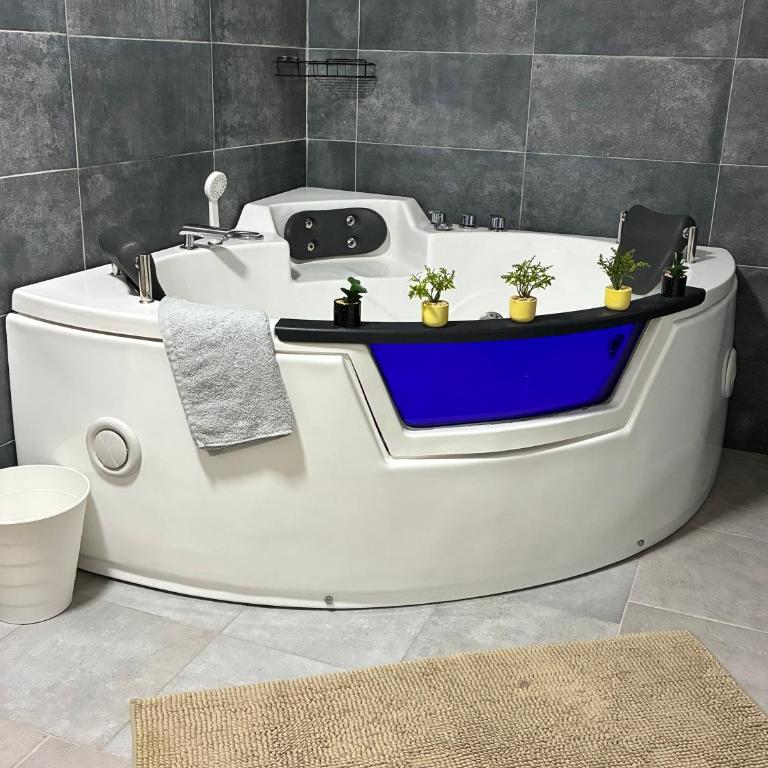 Sobe Potić - Deluxe Double Room with Bath - 6