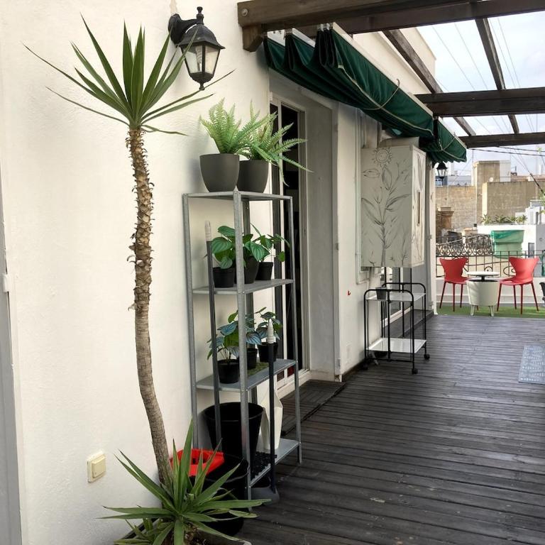 Ático Centro - One-Bedroom Apartment with Terrace - 9