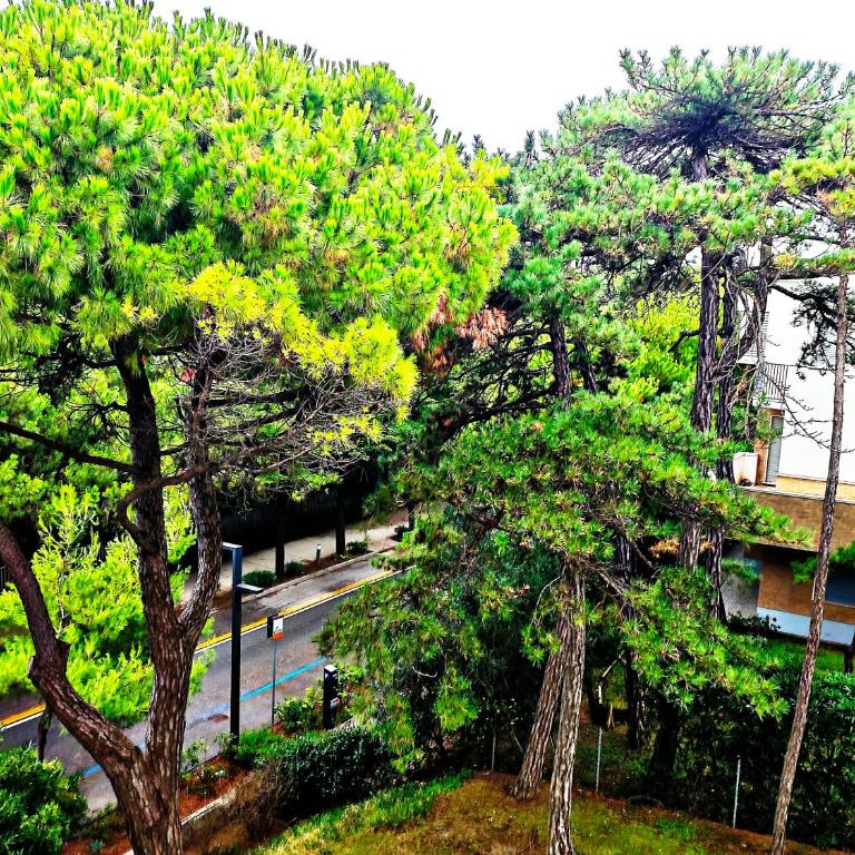 Erma Home in Front of Sea - Two-Bedroom Apartment - 14