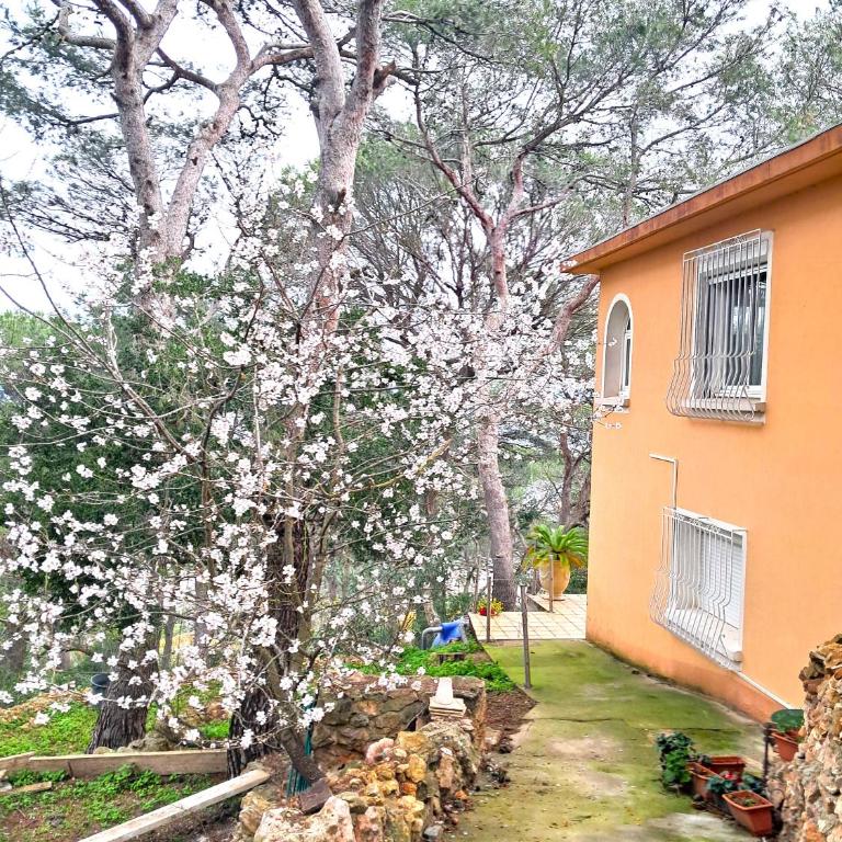 Aqui siem ben - Two-Bedroom Apartment - 15