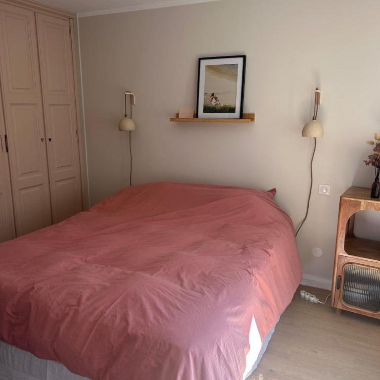 Appartement cosy quartier st Martin , biarritz - Appartement 1 Chambre - 1