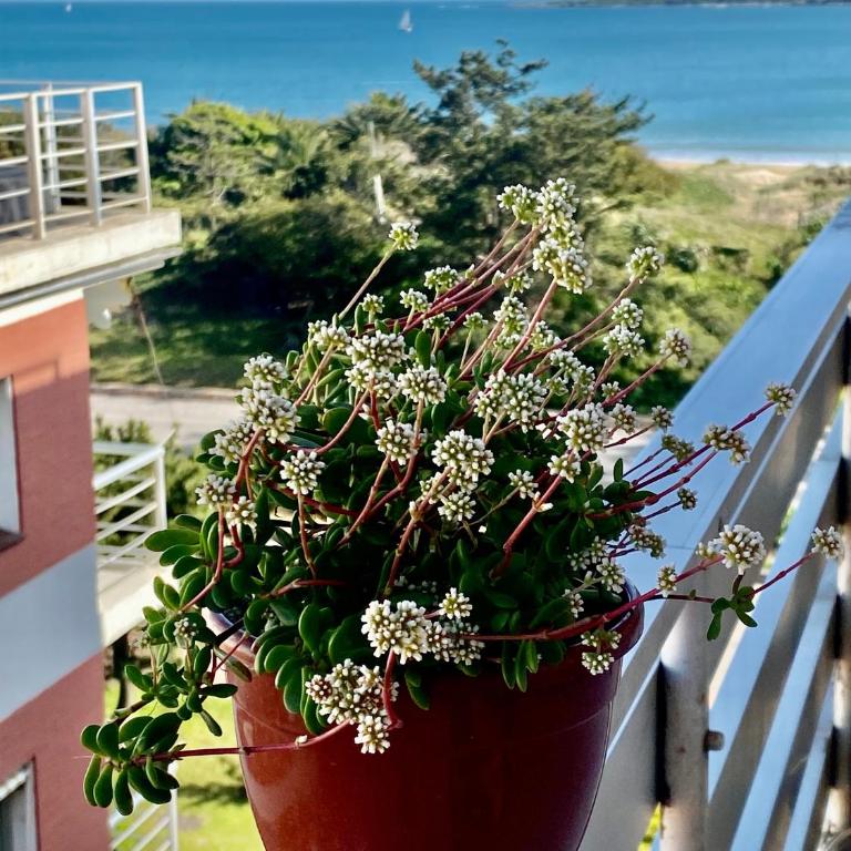 Sunset - Apartamento de 1 dormitorio - 7