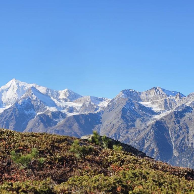 Modernes Studio l Berge l Nähe Zermatt l Grächen - Apartment mit 1 Schlafzimmer - 21