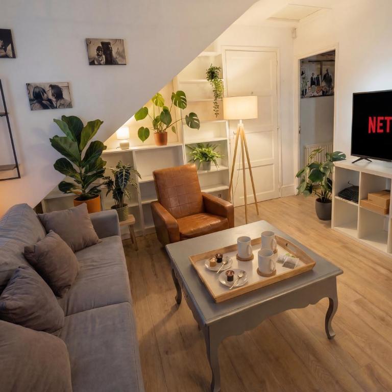 Le Nid 2 4pers Centre ville WIFI - Appartement 2 Chambres - 1