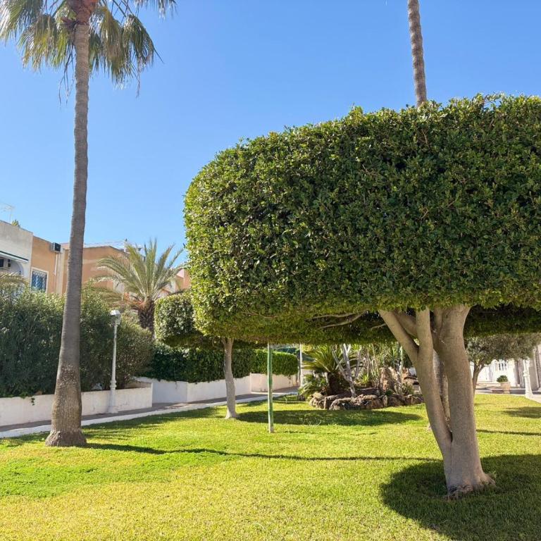 Serenity Oasis Apartment - Two-Bedroom Apartment - 22